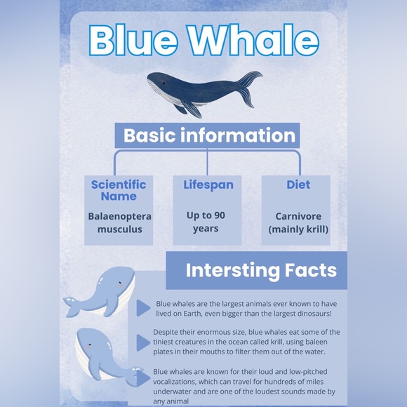 $2 Whale keychain blue or white $2 WITH ANY $10 ORDER OR MORE - Picture 12 of 16